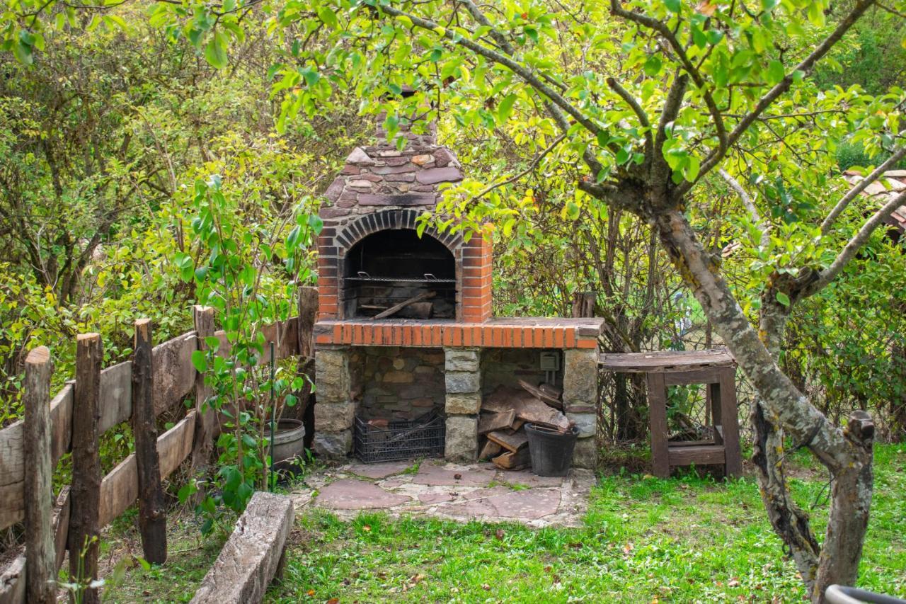 Casa Monaut, Acogedores Apartamentos A Los Pies De La Selva De Irati Saragueta Esterno foto